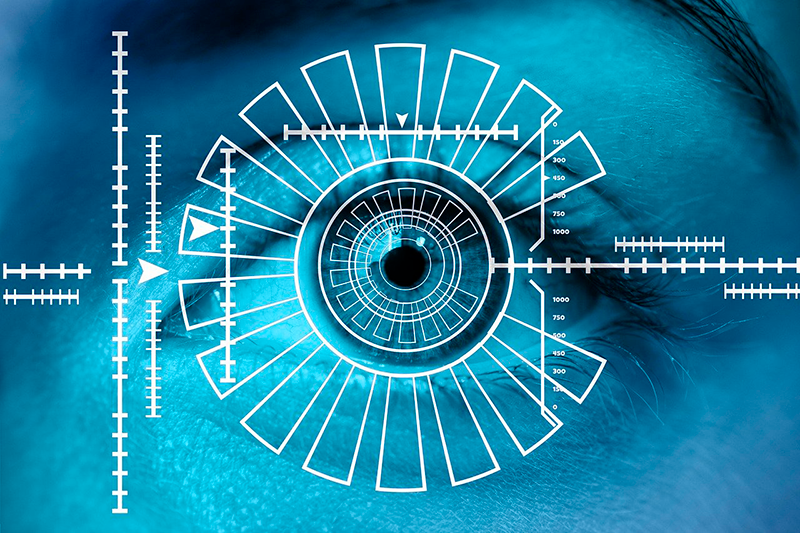 biometría_ilustrativa2